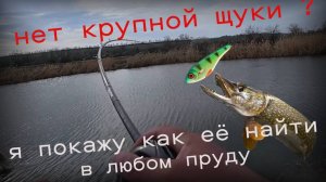 Щука против всех: как поймать хищника, когда у других глухо. СЕКРЕТНАЯ 100%-ая приманка
