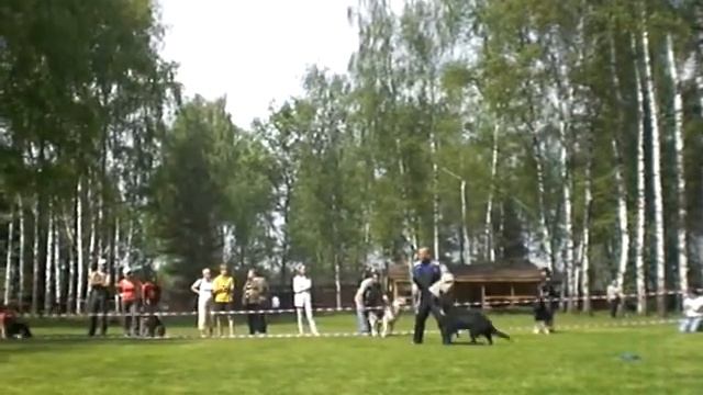 CIMG4790.MOV смотреть онлайн