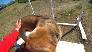 Субботняя гонка в Темрюке. Мотокросс 8.05.21.