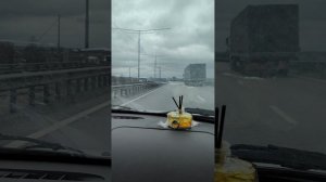 Видео N 63