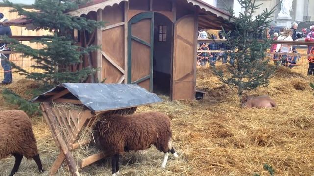 Markt am Karlsplatz Dec 2013 смотреть онлайн