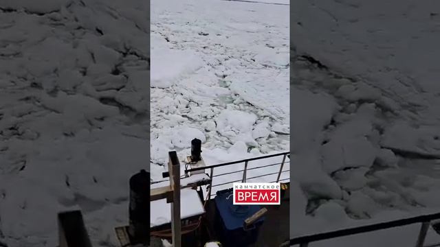 У берегов Камчатки военный ледокол помог гражданским судам