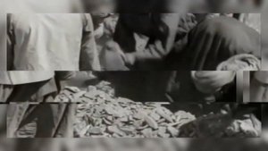 Тутанхамон. Открытие гробницы.