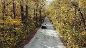 5592484-uhd_3840_2160_24fps