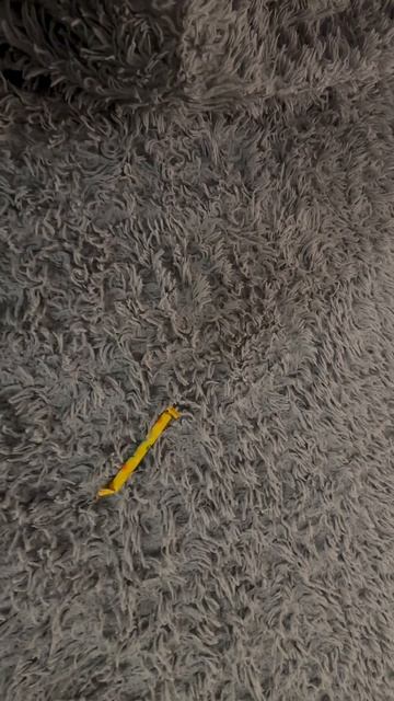 Олененок Тима, веселые истории, мультфильмы для детей, #shorts #мультфильмы