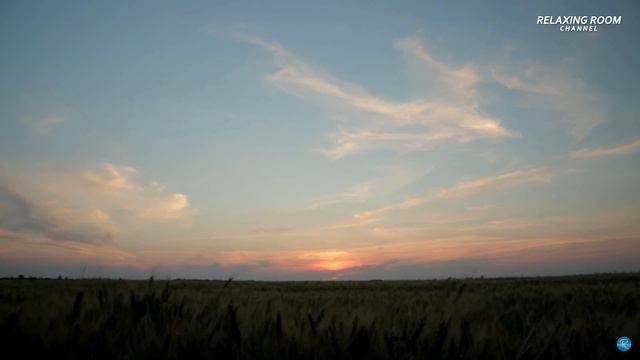 Чынгыз Айтматов. " Саманчынын жолу" повестинен үзүндү. Окуган Айнура Кабатай кызы. смотреть онлайн