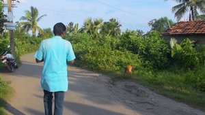 5468036-hd_1920_1080_25fps