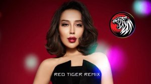 Dilnoz - Daydi ( Red Tiger remix )