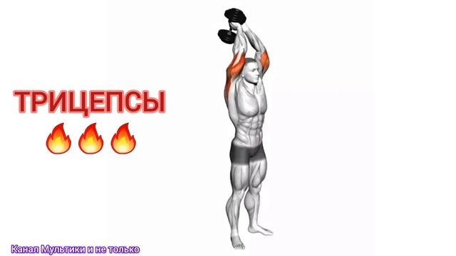 Техника выполнения 💥 Экстензия трицепсов над головой • Гантели  ✅️ 💪🙂