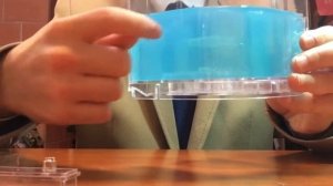 Гелевый формикарий | обзор муравьиной фермы | Ant for You