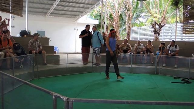 Вьетнам, Нячанг, Змеиное шоу смотреть онлайн