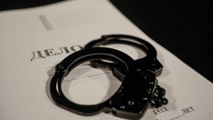 Дело возбудили против выбросившего кота из окна многоэтажки москвича
