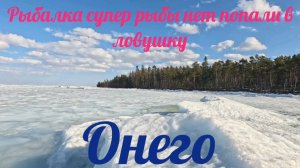 Рыбалка супер рыбы нет попали в ловушку Онего