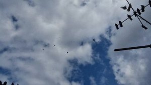 Макеевка юго запад