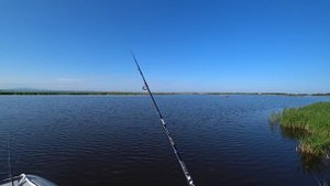 Раттлин TsuYoki NAKAMA 70S