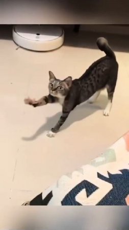 ха