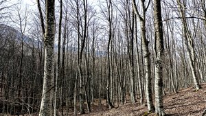 Продолжение копа в горах.