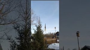 Скворцы прилетели 🐦⬛🐦⬛🐦⬛