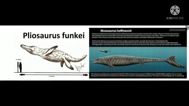 Pliosaurus Funkei and Mosasaurus Hoffmani size comparison смотреть онлайн