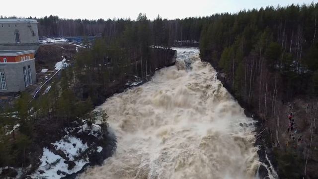 Гирвас 2024 смотреть онлайн