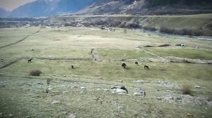 Три мушкетёра в Домбае