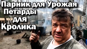 Строим парник и ловим кролика: Непредсказуемая жизнь на даче!