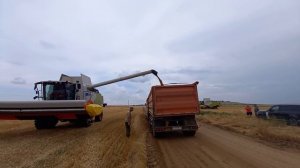 Жатка очесывающая навесная «Эффекта-7М» (7,2м.)