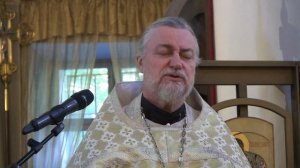 Проповедь на Литургии 17 06 2021 свящ. Петр Коломейцев