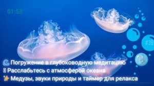 🌊 Медузы и Звуки Океана: Релаксация, Медитация и Таймер | #Руки Массажиста #Музыка #Йога