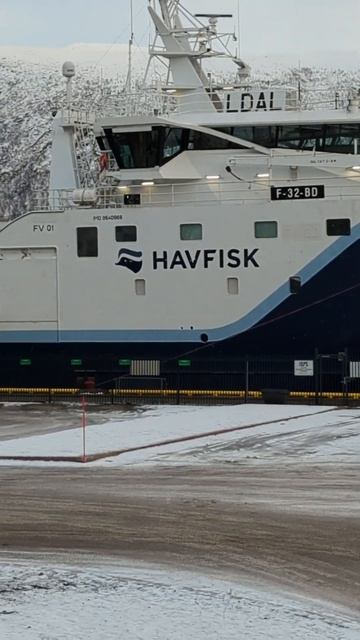 Huge Trawler in Port. #shorts #fishing #4k #ship смотреть онлайн