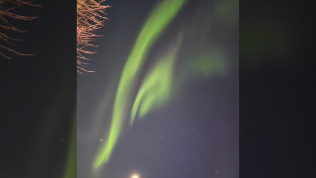 Haceвережить