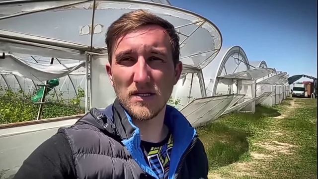 Ціни на Теплиці Виросли на ... Скільки коштує теплиця?