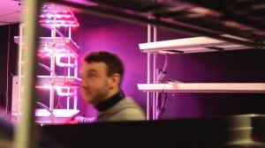 Рабочие процессы