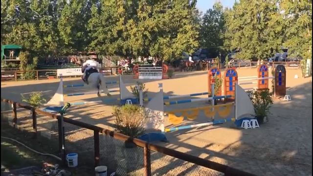 Adelasia 1 Round GP 7Yo 145 смотреть онлайн