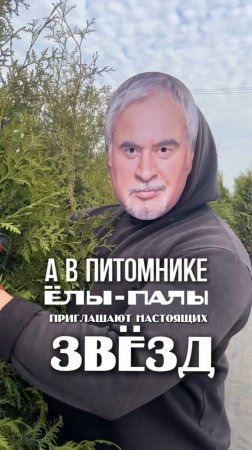 Вы знали, что растения лучше растут под музыку?