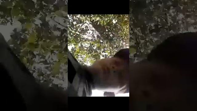 Бежать в туалет смотреть онлайн