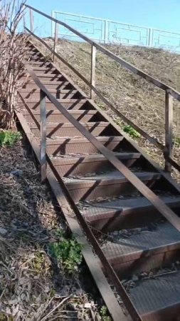 День Добрых дел в Твери