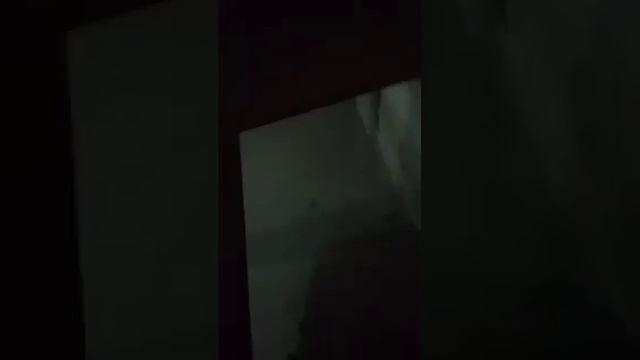 дезинфекция услуги обработка от насекомых и грызунов . 998998265810 смотреть онлайн