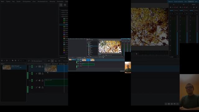 Работа в Kdenlive №1