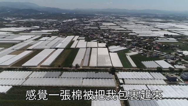 路上一個臭老頭說我福中帶煞，媽聽完拽我回家臭罵我是災星，隔天敲鑼打鼓說免費送娃娃了，窮大姨見我可憐好心收留我，3月後大姨住豪宅我爸投資失敗，我媽才明白原來我弟才是煞星#情感故事 #唯美頻道 #爽文