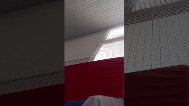 школа 5