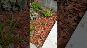 Расход коры лиственницы на 1 кв.м