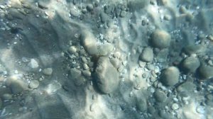 Подводный мир пляжа отеля AKKA ANTEDON 5* (Beldibi - Antalya Turkiye)