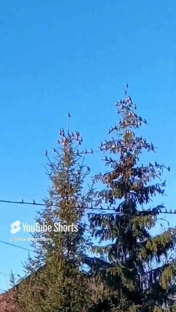 Хорошего дня!