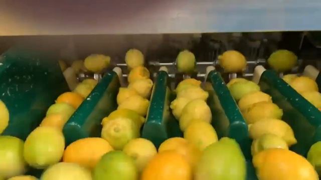 Citrus Juice Extraction from Lemons