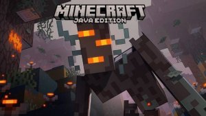 играю на сервере домера