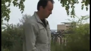 Цахкир инц амар