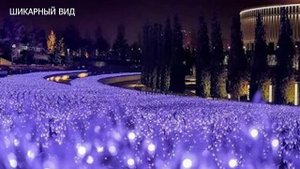 Экзамен после первого модуля