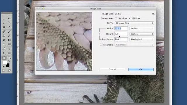 DES114 Week 3 Video 1 Image Resolution смотреть онлайн