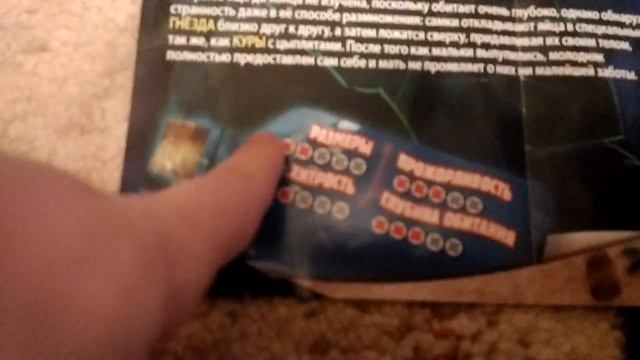 Морские монстры &ко , макси#1 смотреть онлайн